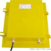 溜槽堵塞開關(guān)SDS-II，溜槽防堵保護開關(guān)，廠家防爆堵塞開關(guān)工廠直營